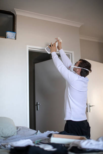 Best Real Estate Mold Inspection  in Marshall, WI