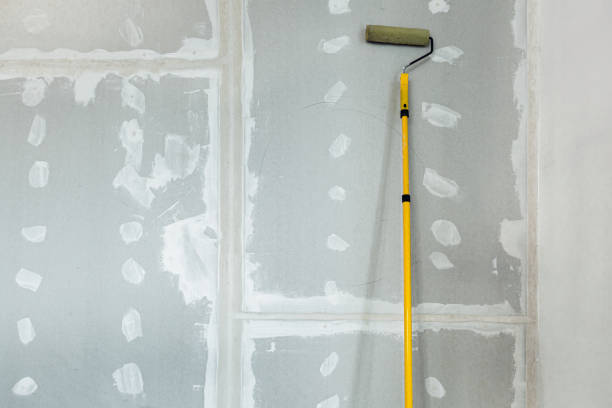 Best Crawl Space Mold Remediation  in Marshall, WI