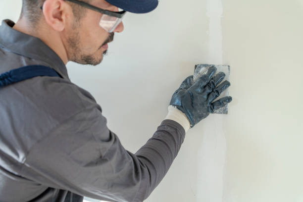 Best Post-Construction Mold Inspection  in Marshall, WI