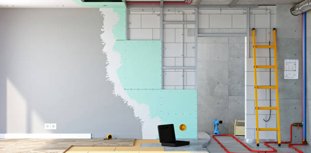 Best Biohazard Mold Removal  in Marshall, WI