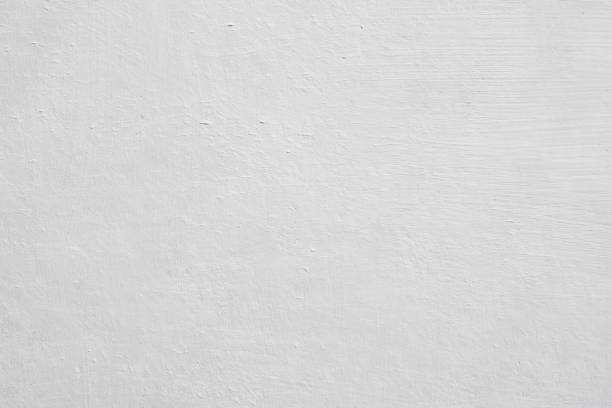 Trusted Marshall, WI Mold Removal Experts