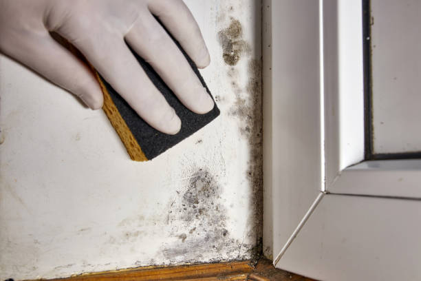 Dehumidification Services in Marshall, WI