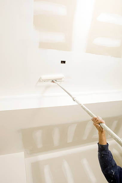 Best Mold Damage Restoration  in Marshall, WI