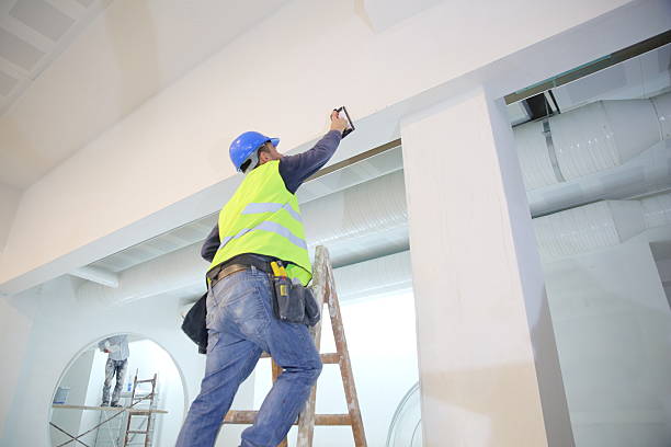 Best Mold Remediation for Healthcare Facilities  in Marshall, WI