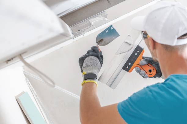Best Asbestos and Lead Testing During Mold Inspection  in Marshall, WI